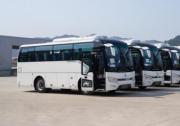 金旅155輛客車批量發(fā)運科威特 深化中東市場布局助力公共交通升級